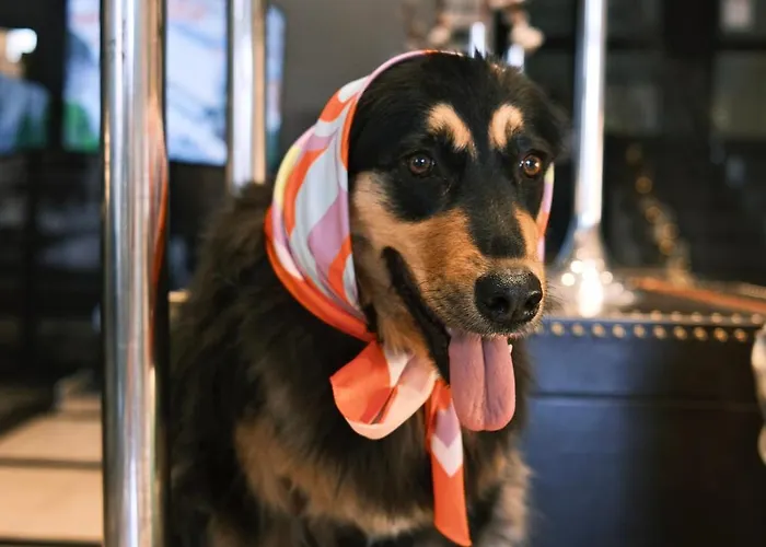 Grand Slavia (adults Only)